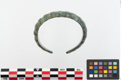 Foto von Bronzebuckelarmreif (NHMW-PRAE-023771)